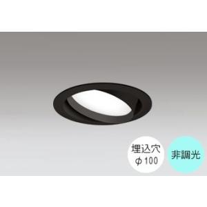 ダウンライト 100φ埋込穴 LED電球交換型 60W相当 昼白色 爽やかな白色の光 調光不可 R1...