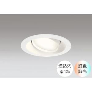 ダウンライト 125φ埋込穴 LED電球交換型 60W相当 電球色〜昼光色 色の変化を楽しむ 調光 ...