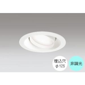 ダウンライト 125φ埋込穴 LED電球交換型 60W相当 昼白色 爽やかな白色の光 調光不可 R1...