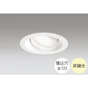 ダウンライト 125φ埋込穴 LED電球交換型 60W相当 温白色 明るい雰囲気の黄色い光 調光不可...