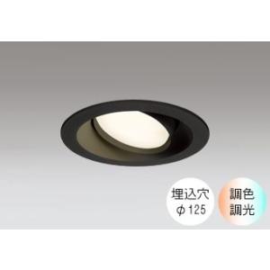 ダウンライト 125φ埋込穴 LED電球交換型 60W相当 電球色〜昼光色 色の変化を楽しむ 調光 ...