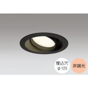 ダウンライト 125φ埋込穴 LED電球交換型 60W相当 電球色 オレンジ色の光 調光不可 R15...