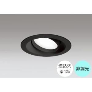 ダウンライト 125φ埋込穴 LED電球交換型 60W相当 昼白色 爽やかな白色の光 調光不可 R1...