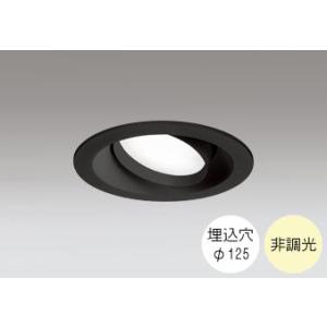 ダウンライト 125φ埋込穴 LED電球交換型 60W相当 温白色 明るい雰囲気の黄色い光 調光不可...