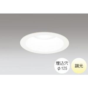 ダウンライト 125φ埋込穴 LED内蔵 FHT42W相当 温白色 明るい雰囲気の黄色い光 調光 R...