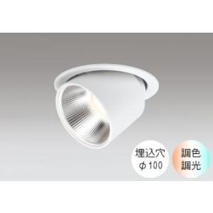 ダウンライト 100φ埋込穴 LED内蔵 100W相当 電球色〜昼光色 色の変化を楽しむ 調光 調色...