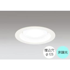 ダウンライト 125φ埋込穴 LED電球交換型 FHT24W相当 昼白色 爽やかな白色の光 調光不可...