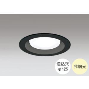 ダウンライト 125φ埋込穴 LED電球交換型 FHT24W相当 温白色 明るい雰囲気の黄色い光 調...