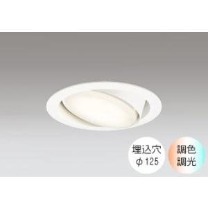 ダウンライト 125φ埋込穴 LED電球交換型 FHT24W相当 電球色〜昼光色 色の変化を楽しむ ...