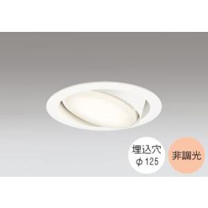 ダウンライト 125φ埋込穴 LED電球交換型 FHT24W相当 電球色 オレンジ色の光 調光不可 ...