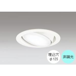 ダウンライト 125φ埋込穴 LED電球交換型 FHT24W相当 昼白色 爽やかな白色の光 調光不可...