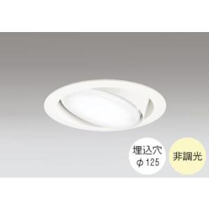 ダウンライト 125φ埋込穴 LED電球交換型 FHT24W相当 温白色 明るい雰囲気の黄色い光 調...