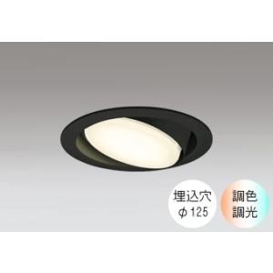 ダウンライト 125φ埋込穴 LED電球交換型 FHT24W相当 電球色〜昼光色 色の変化を楽しむ ...