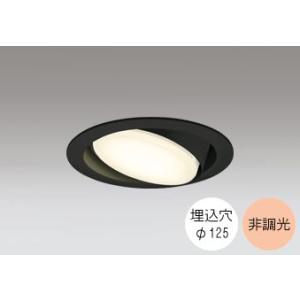 ダウンライト 125φ埋込穴 LED電球交換型 FHT24W相当 電球色 オレンジ色の光 調光不可 ...