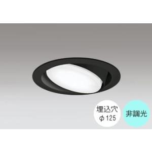 ダウンライト 125φ埋込穴 LED電球交換型 FHT24W相当 昼白色 爽やかな白色の光 調光不可...