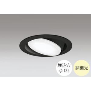 ダウンライト 125φ埋込穴 LED電球交換型 FHT24W相当 温白色 明るい雰囲気の黄色い光 調...