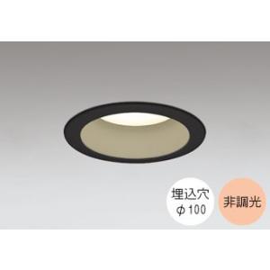 ダウンライト 100φ埋込穴 LED電球交換型 100W相当 電球色 暖かみのあるオレンジ色の光 調...