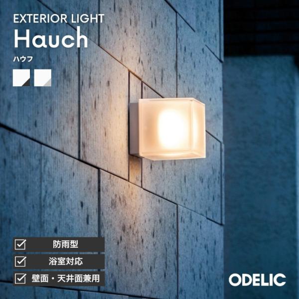 ODELIC 外灯 軒下灯 玄関灯 ポーチライト 浴室 LED 防犯ライト 壁面・天井面取付兼用 照...