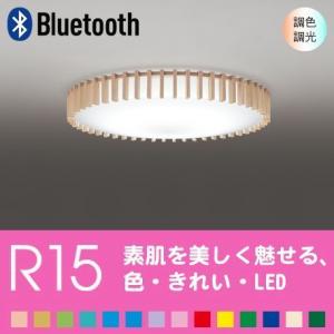 TOSHIBA（東芝） LEM-012009(W)-S1（LEM012009WS1）一般用 C級 高輝度