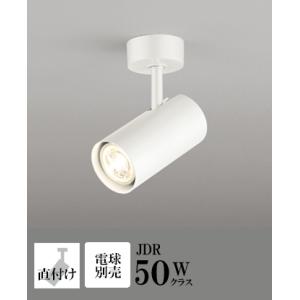 ODELIC（オーデリック） スポットライト 【OS256500LR】【OS 256 500LR