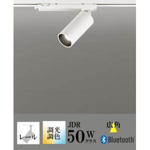 ODELIC（オーデリック） スポットライト 【OS256587BR】【OS 256 587BR