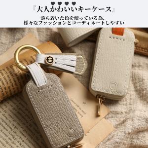 Tebraキー くすみカラー キーケース Cl...の詳細画像4