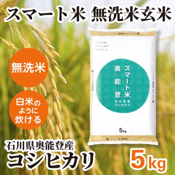 スマート米 石川県奥能登産 コシヒカリ 無洗米玄米   残留農薬不検出   5kg (令和5年産)