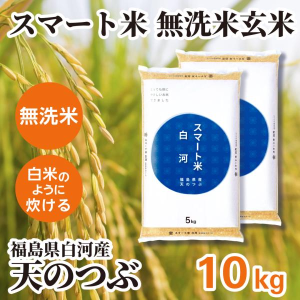 スマート米 玄米 無洗米 福島県白河産 天のつぶ 10kg (5kg×2袋) 令和7年産 残留農薬不...