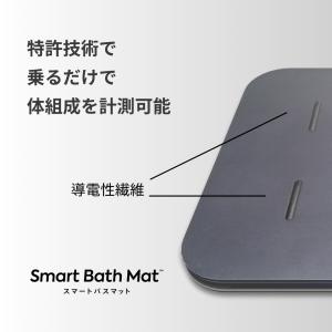 【ミニオンコラボ】体組成計モデル用 取替用 ス...の詳細画像3