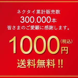ネクタイ 洗える お試し価格 おひとり様1点ま...の詳細画像1