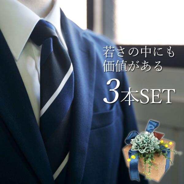 ネクタイ シルク プレゼントラッピング付き ギフト ネイビー お祝い ネクタイ シルク100% おし...