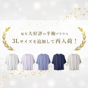 お仕事ブラウス レディース ブラウス 半袖 ノ...の詳細画像4