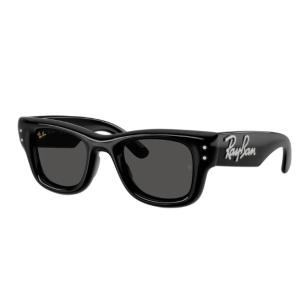 Ray-Ban× A$AP Rocky RB4940 671/87 新品 正規 Ray-Ban（レイバン） 取扱い店舗限定品番 正規保証書(押印)付 Ray-Ban