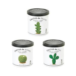 CACTUS de CACTUS  カクタス de カクタス サボテンセット｜smartgift