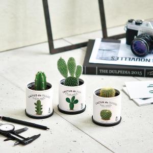 CACTUS de CACTUS カクタス d...の詳細画像1