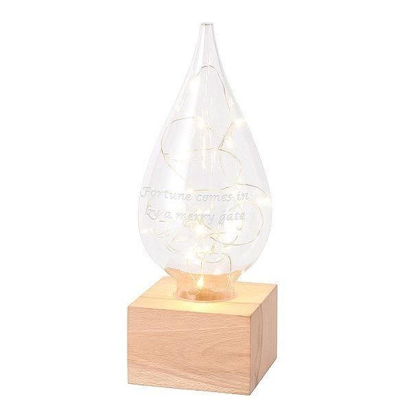 名入れ 光の贈り物 しずくライト LED Fun Science クリスマス記念誕生日 結婚祝い 記...
