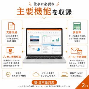 2010 Professional Plus ...の詳細画像1