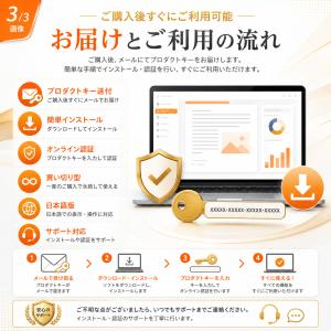 2010 Professional Plus ...の詳細画像2