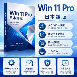 Windows 11 Pro 日本語版 1PC ...の商品画像