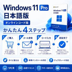 Windows 11 Pro 日本語版 1PC...の詳細画像1