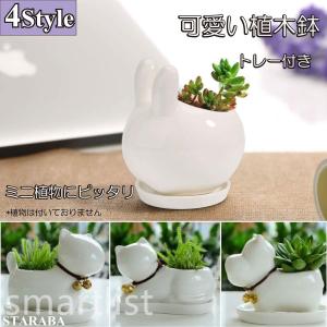 多肉植物 鉢 陶器 植木鉢 の商品一覧 鉢 プランター 園芸用品 花 ガーデニング 通販 Yahoo ショッピング