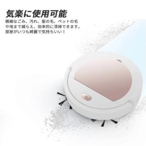 海外並行輸入正規品 ロボット掃除機 髪の毛に効果605 ペットの毛 防犯機能を持つカメラを搭載 掃除機 Ysn365 Com