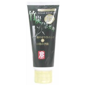 日本漢方研究所 竹炭ハミガキ×2セット