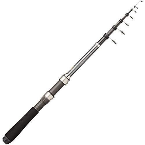 シマノ(SHIMANO) スピニング/ベイト兼用 ロッド 17 ホリデーパック(防波堤 船) 30 ...