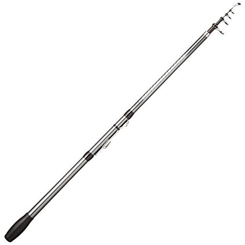 シマノ(SHIMANO) ロッド 投げ竿 17 ホリデースピン ショートモデル (振出) 250HX...