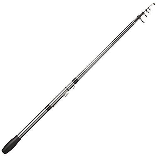シマノ(SHIMANO) ロッド 投げ竿 17 ホリデースピン ショートモデル (振出) 250JX...