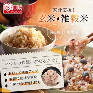 アイリスオーヤマ 雑穀米 十六穀米 個包装 分...の詳細画像1