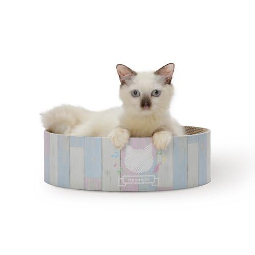 猫壱 爪研ぎ バリバリボウル 子猫用 キトン