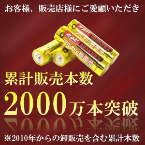単三形 単四形 アルカリ乾電池 電池 40本 ...の詳細画像2