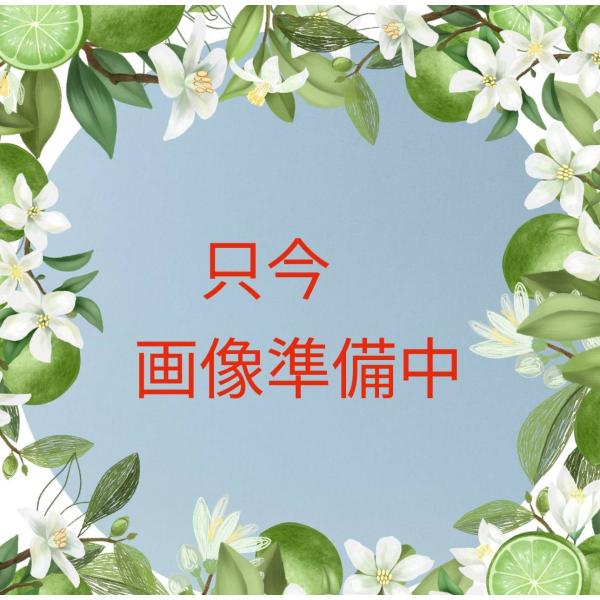 四国化成工業株式会社 尿石除去剤 トレピカワンT-25A（3パック 計12錠）